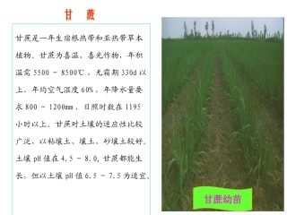 制糖工艺流程简介