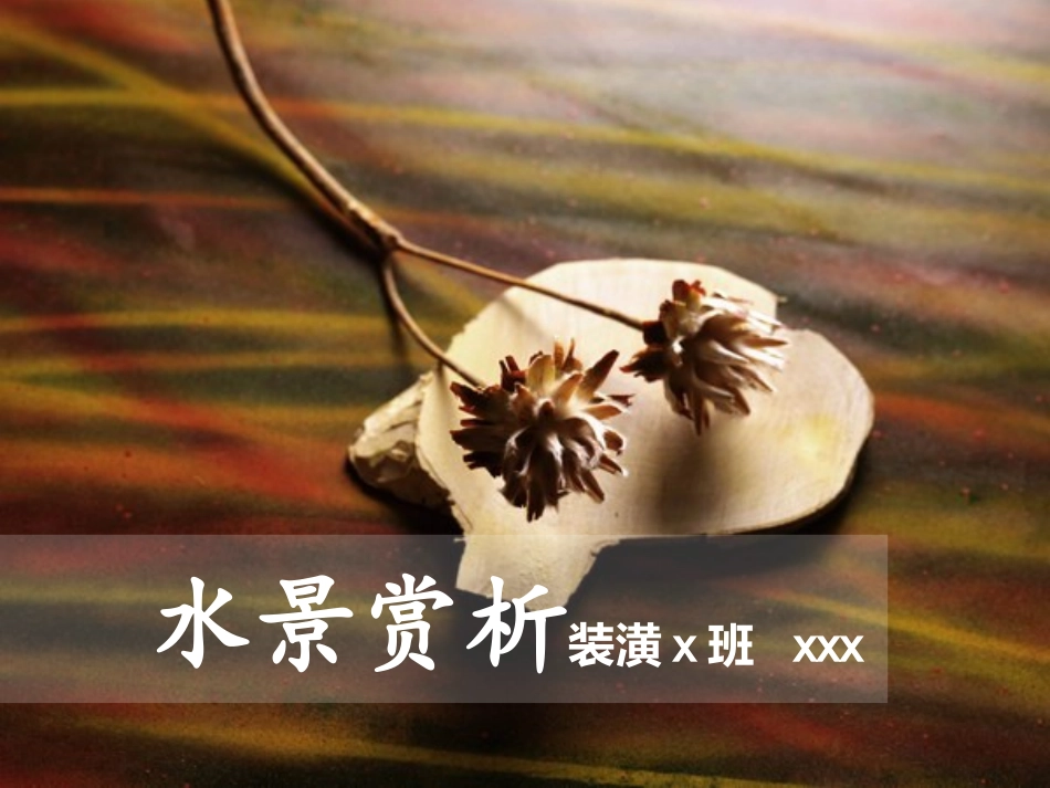 水景赏析PPT_第1页