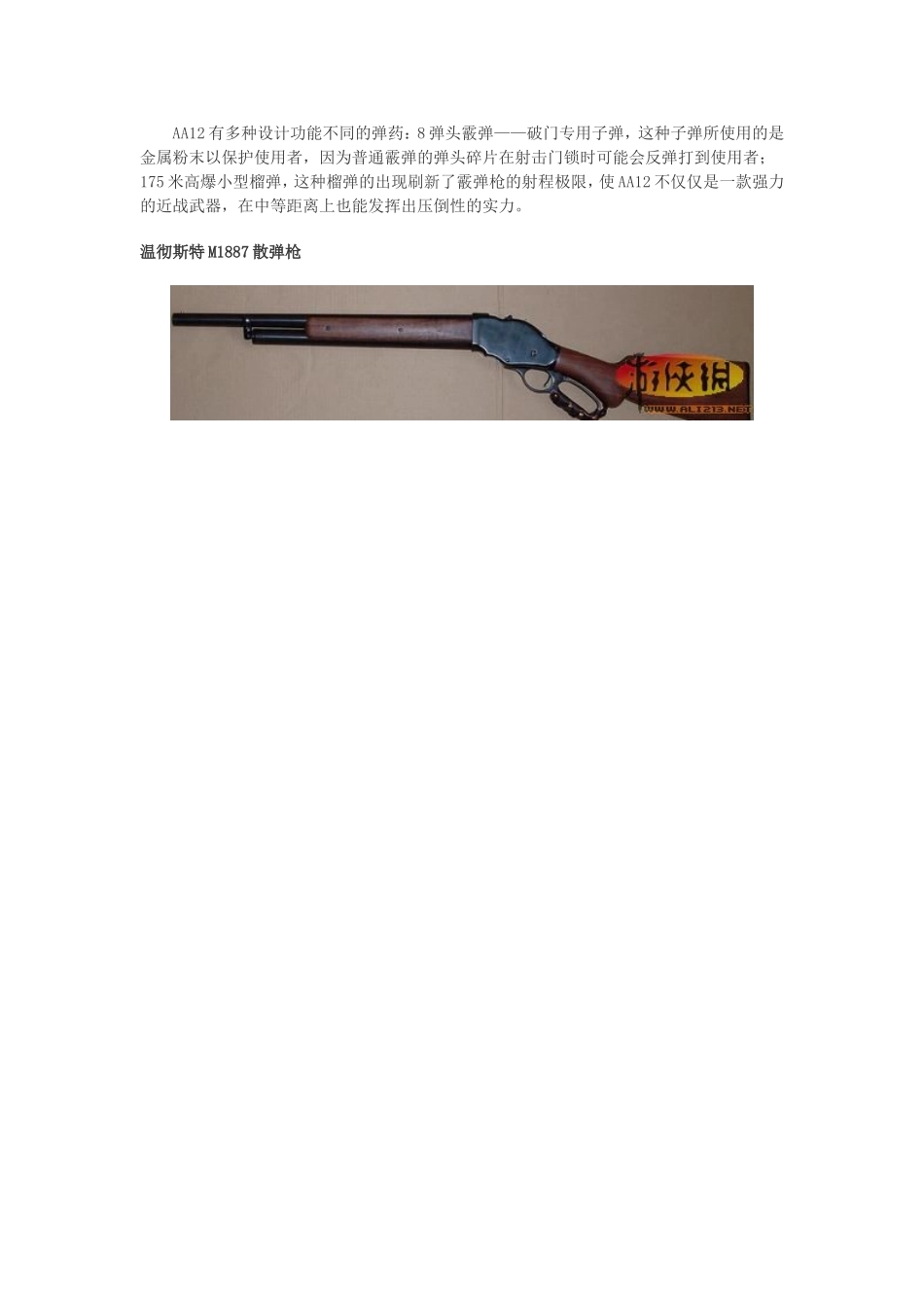 使命召唤8 武器_第3页