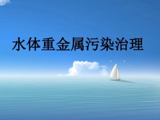 水体重金属污染治理