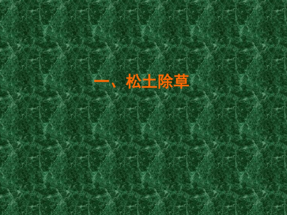 园林树木的土、肥、水管理_第3页