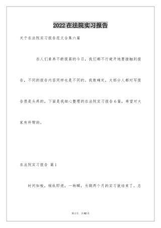 2024在法院实习报告_1