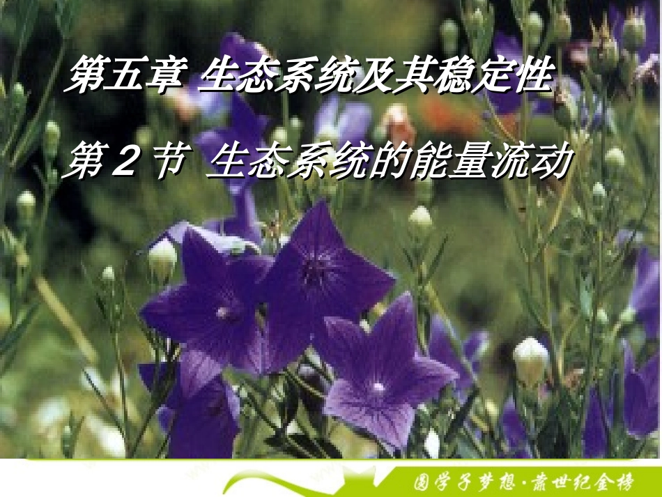 生物：5.2《生态系统的能量流动》课件5(新人教版必修3)_第1页