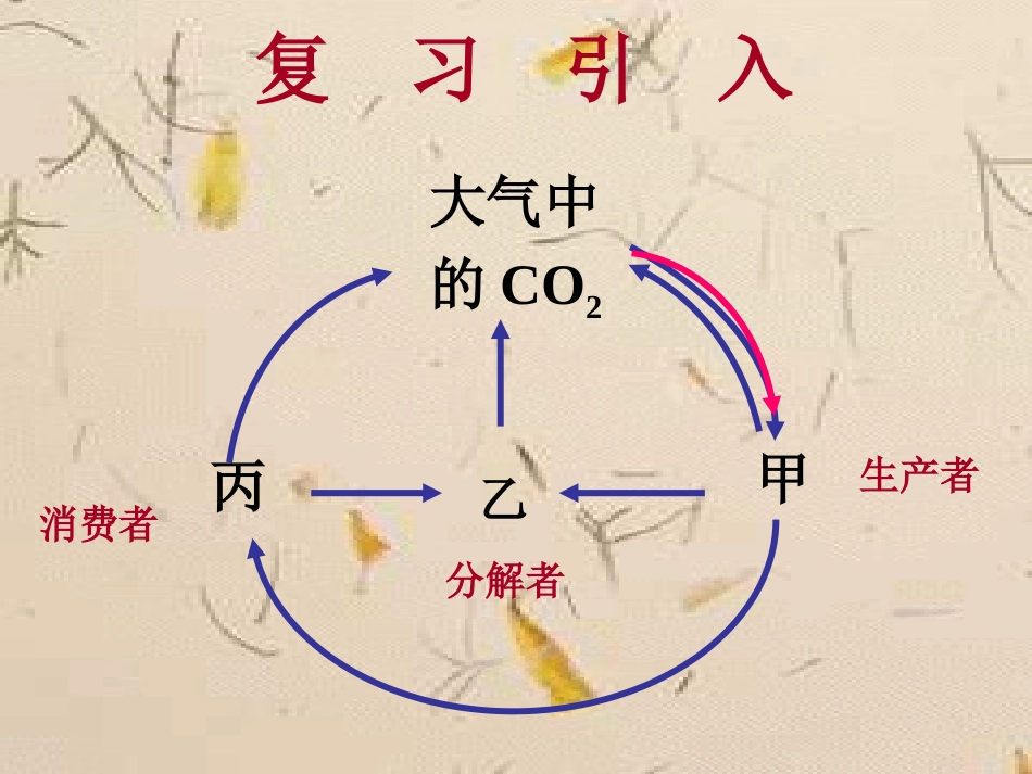 生物：5.2《生态系统的能量流动》课件5(新人教版必修3)_第2页