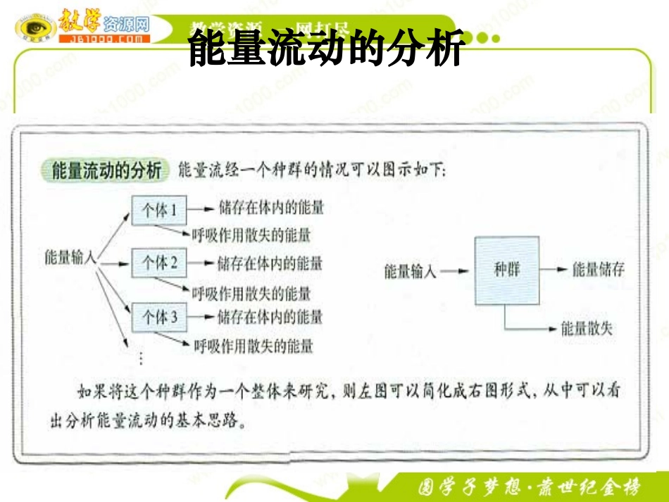生物：5.2《生态系统的能量流动》课件5(新人教版必修3)_第3页