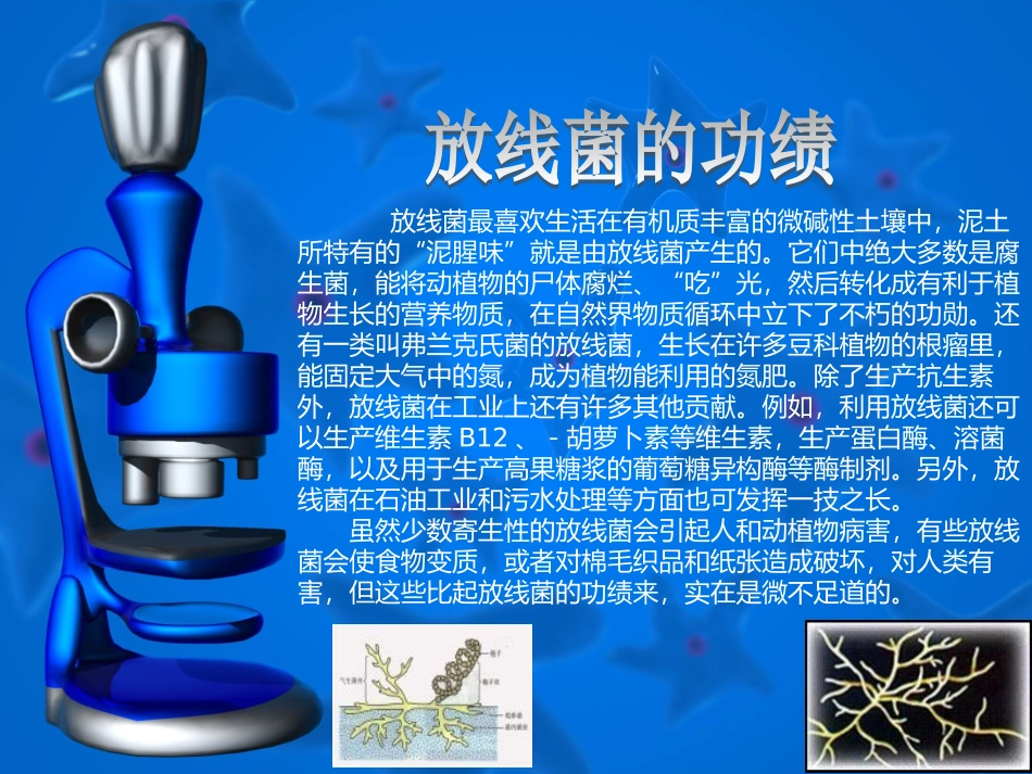 放线菌分离培养基筛选及杂菌_第3页