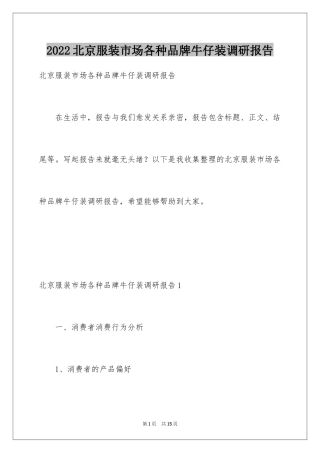 2024北京服装市场各种品牌牛仔装调研报告