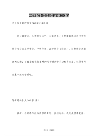 2024写哥哥的作文300字