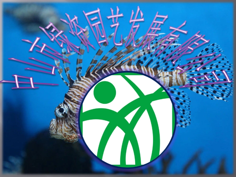 绿化苗木,花木,花卉,花木场之羽衣甘蓝,钻石玫瑰公司模板_第1页