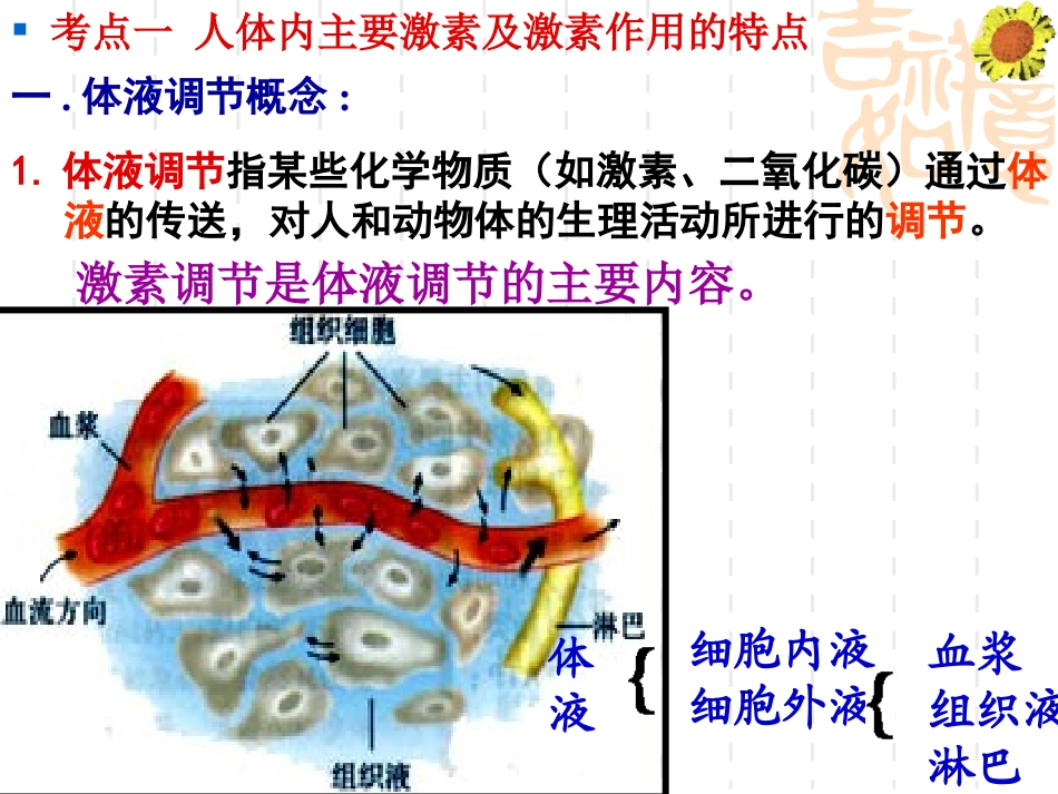 体液调节高三一轮复习_第3页