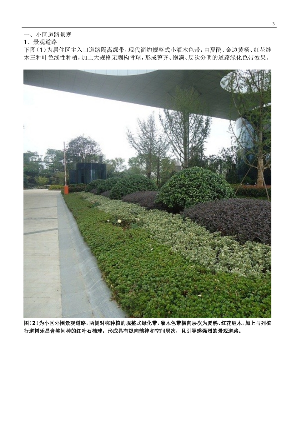 绿化灌木种植_第3页