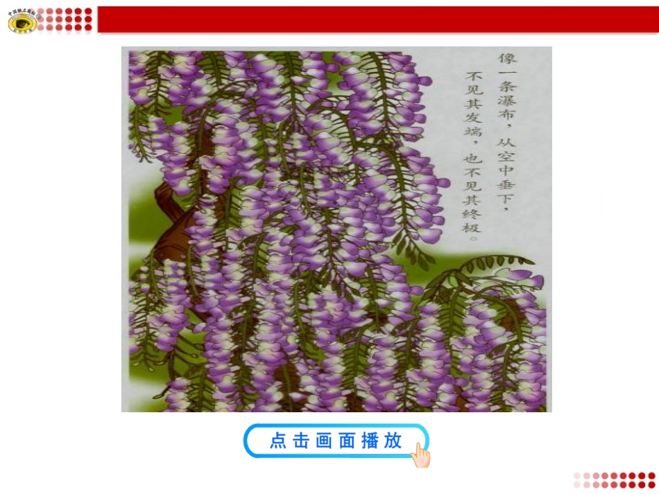 紫藤萝瀑布课件_第3页