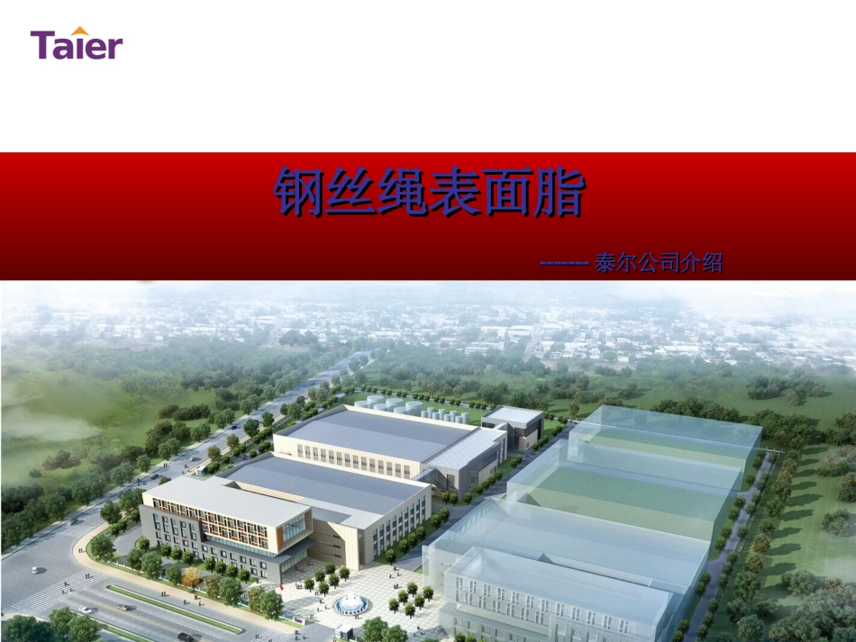 钢丝绳表面电梯绳港口渔业绳起重绳增磨戈培油高铁承力索油脂麻芯脂尼洛斯登丰国CHCH-7艾拉斯康elaskon_第1页