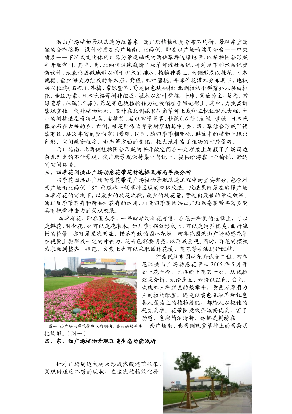 洪山广场植物景观改造设计理念浅析_第2页