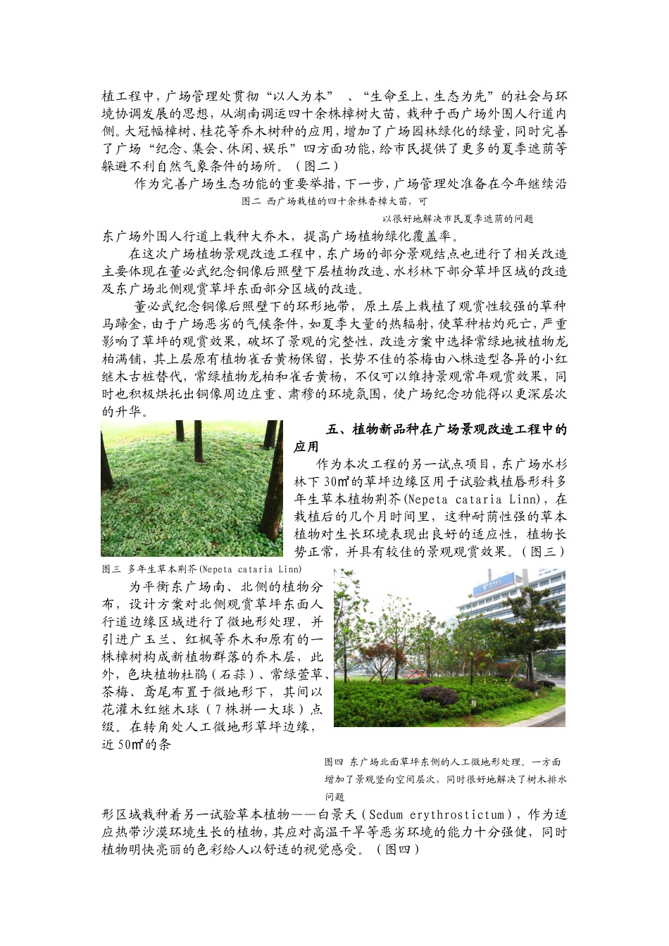 洪山广场植物景观改造设计理念浅析_第3页