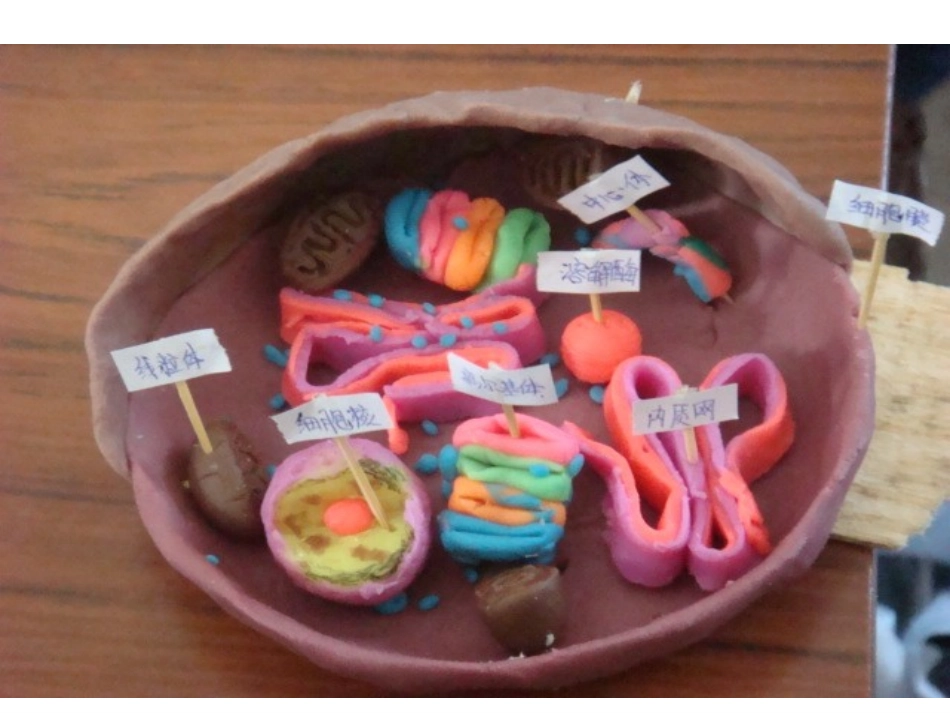 生物：2.2《细胞膜和细胞壁》课件(浙教版必修1)_第1页