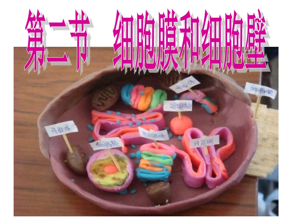 生物：2.2《细胞膜和细胞壁》课件(浙教版必修1)_第2页