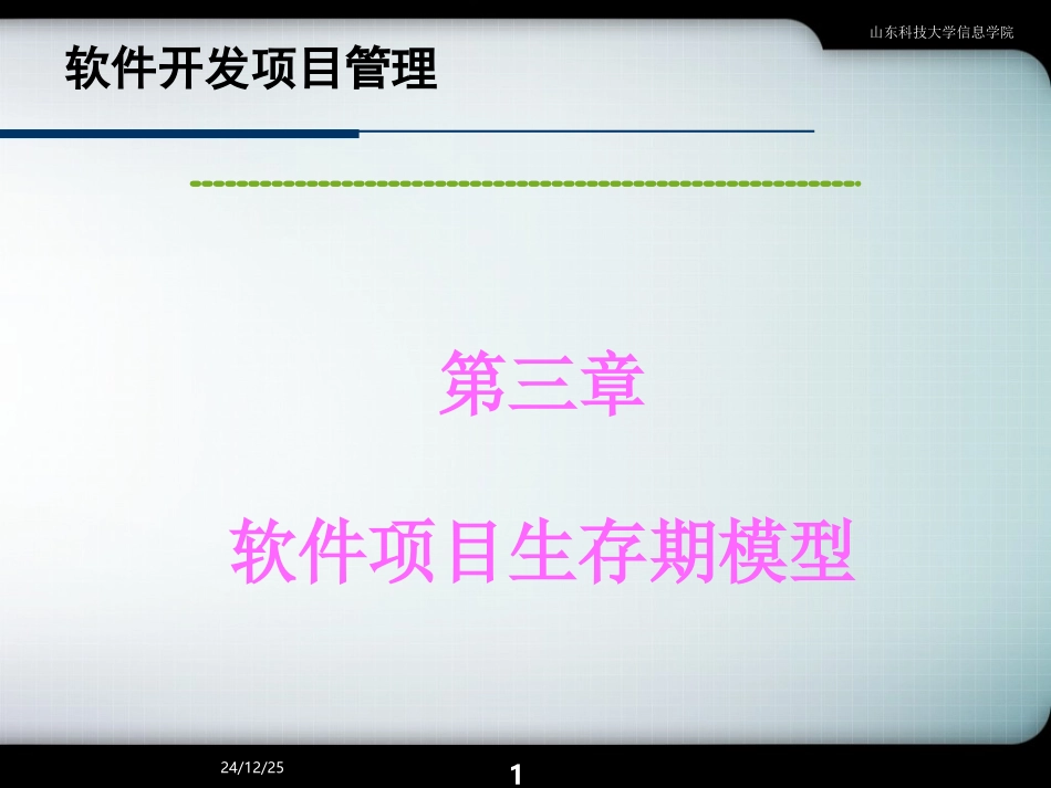 软件开发生命周期_第1页