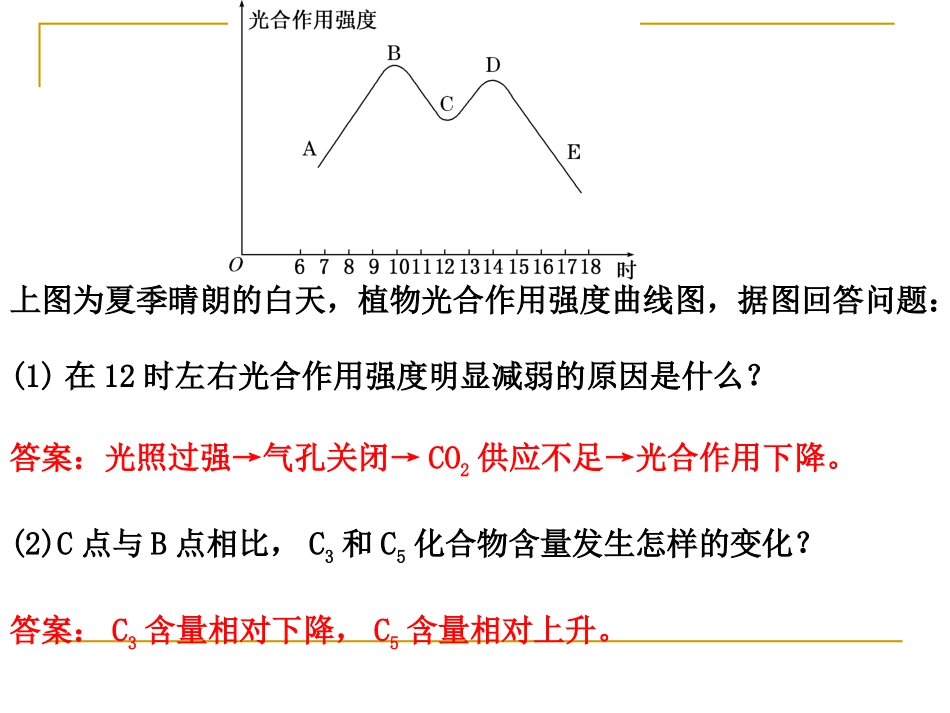 光合作用中的图形分析_第2页