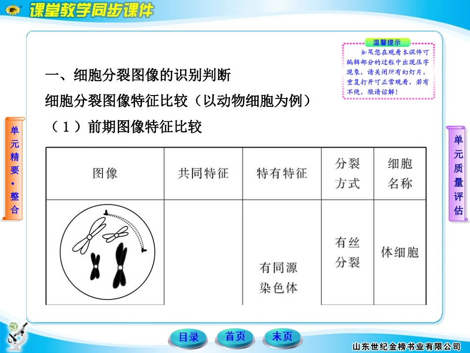 高中生物 基因和染色体的关系人教版必修2_第3页