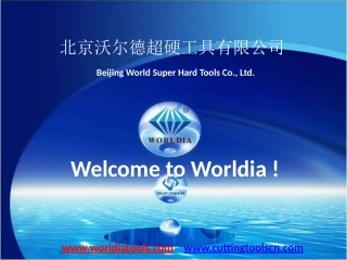 沃尔德公司介绍-2012-《1》