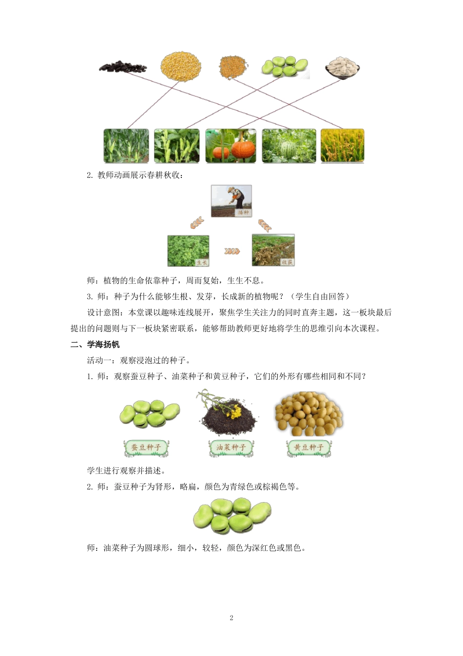 优获奖公开课教案种子的萌发_第2页