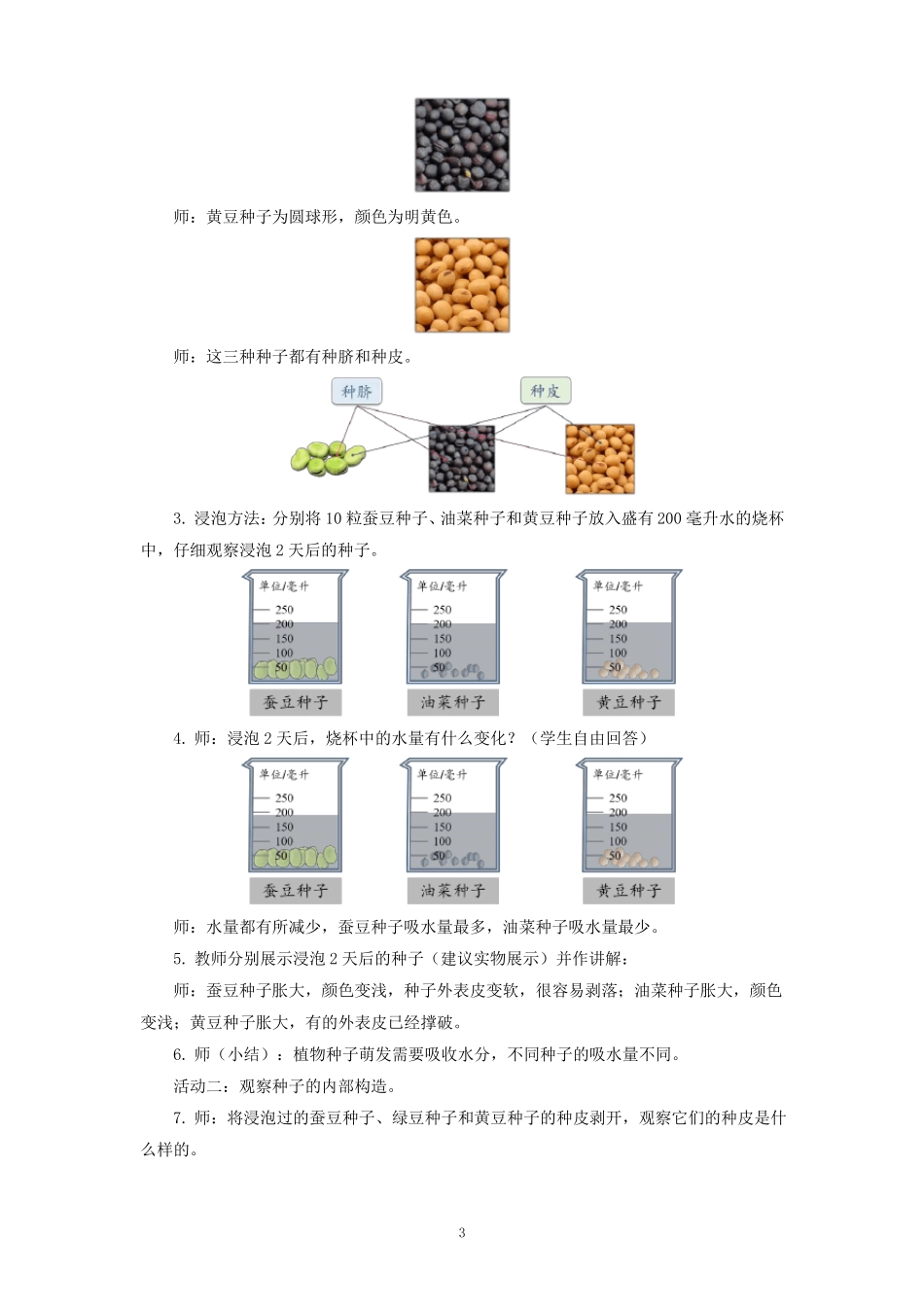 优获奖公开课教案种子的萌发_第3页