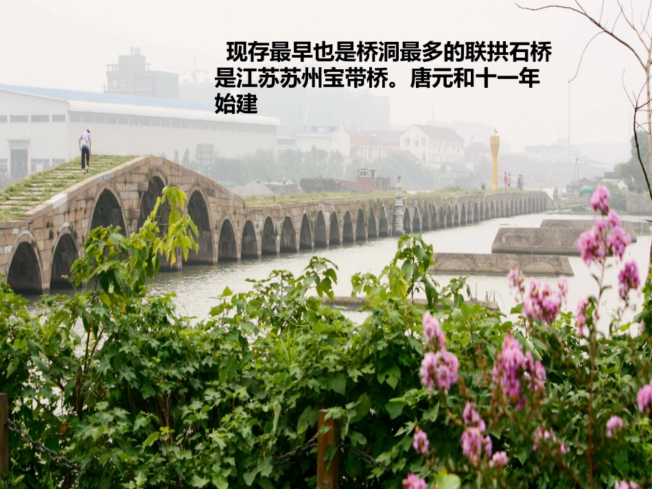 古今中外形形色色的桥_第3页