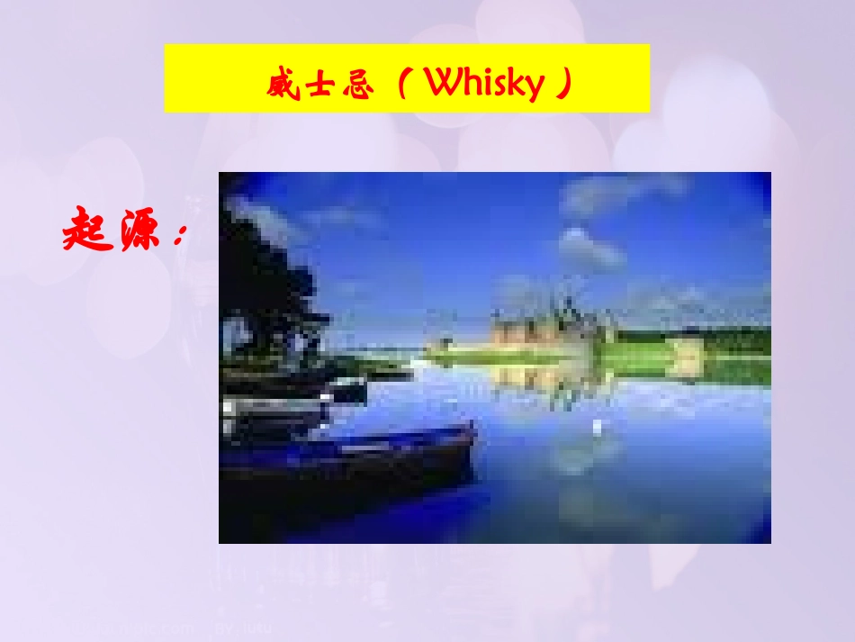 第三专题  威士忌等服务100721_第3页