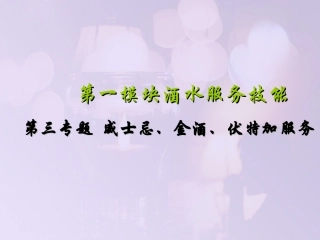 第三专题  威士忌等服务100721