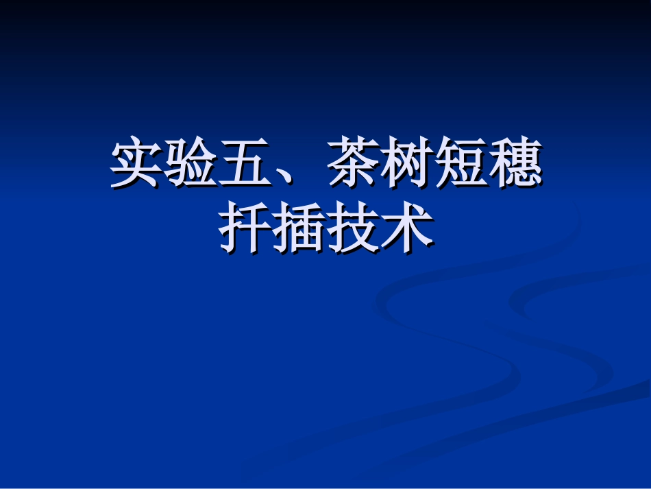 实验五、茶树短穗2013_第1页