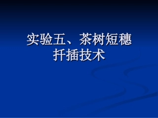 实验五、茶树短穗2013