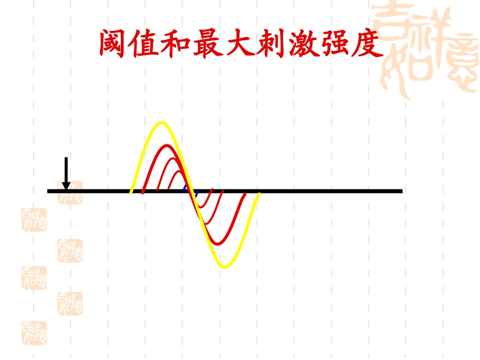 神经干动作电位传导速度的测 定与动作电位不应期的观察_第3页