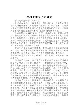 学习毛丰美心得体会