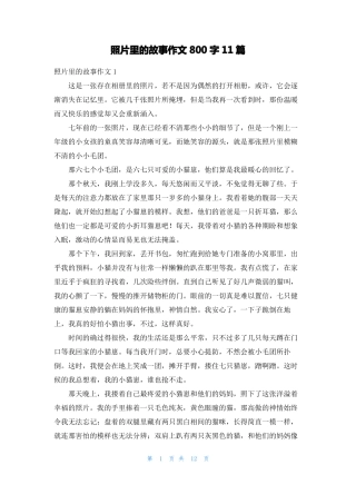 照片里的故事作文800字11篇