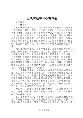 正风肃纪学习心得体会_2 (2)