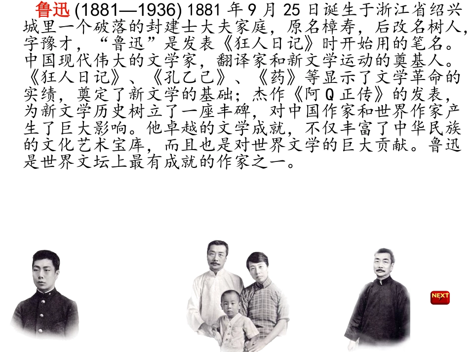 西师版五年级上册《少年闰土》_第2页