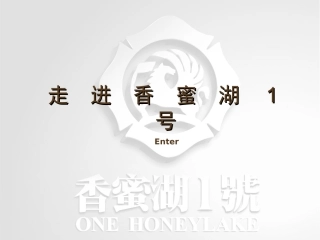 香蜜湖一号营销策略讨论