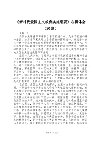 《新时代爱国主义教育实施纲要》心得体会（20篇）
