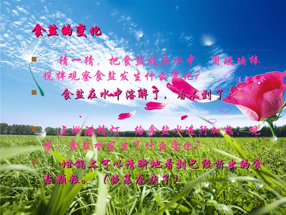 青岛版六年级科学食盐和水泥_第3页
