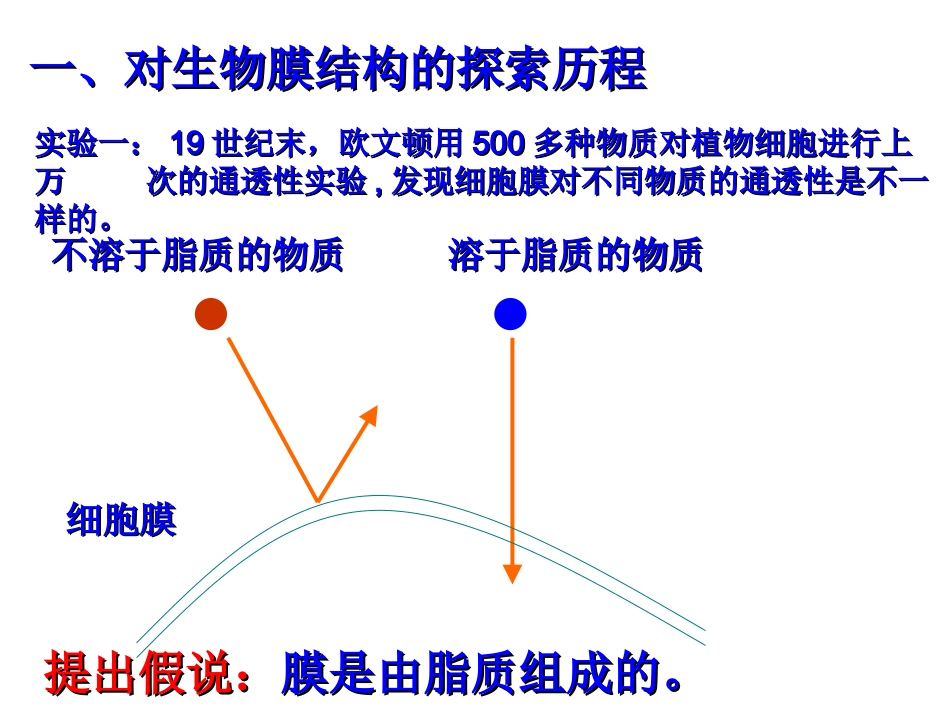 生物膜的流动镶嵌模型PPT (10张缩减版)_第3页