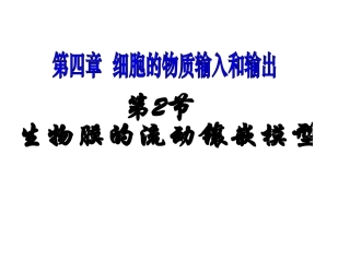 生物膜的流动镶嵌模型PPT (10张缩减版)