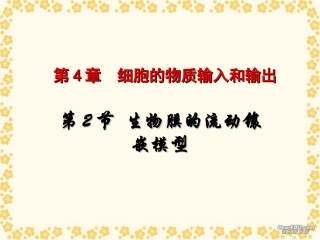 生物膜的流动镶嵌模型 (3)