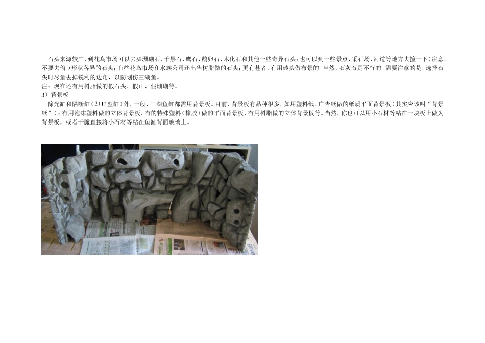 三湖鱼缸造景教程_第2页