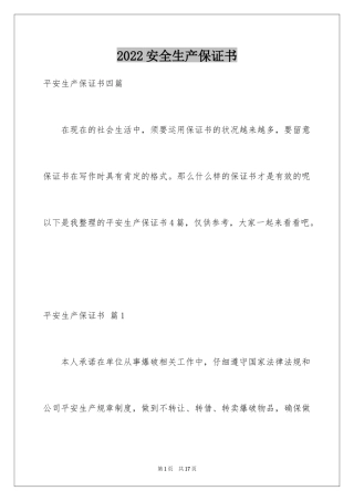 2024安全生产保证书_93