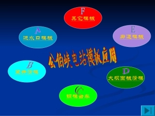 公伯峡模板应用情况介绍