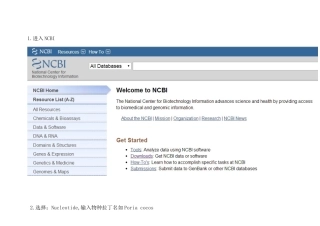 在NCBI里查询物种基因与蛋白质序列