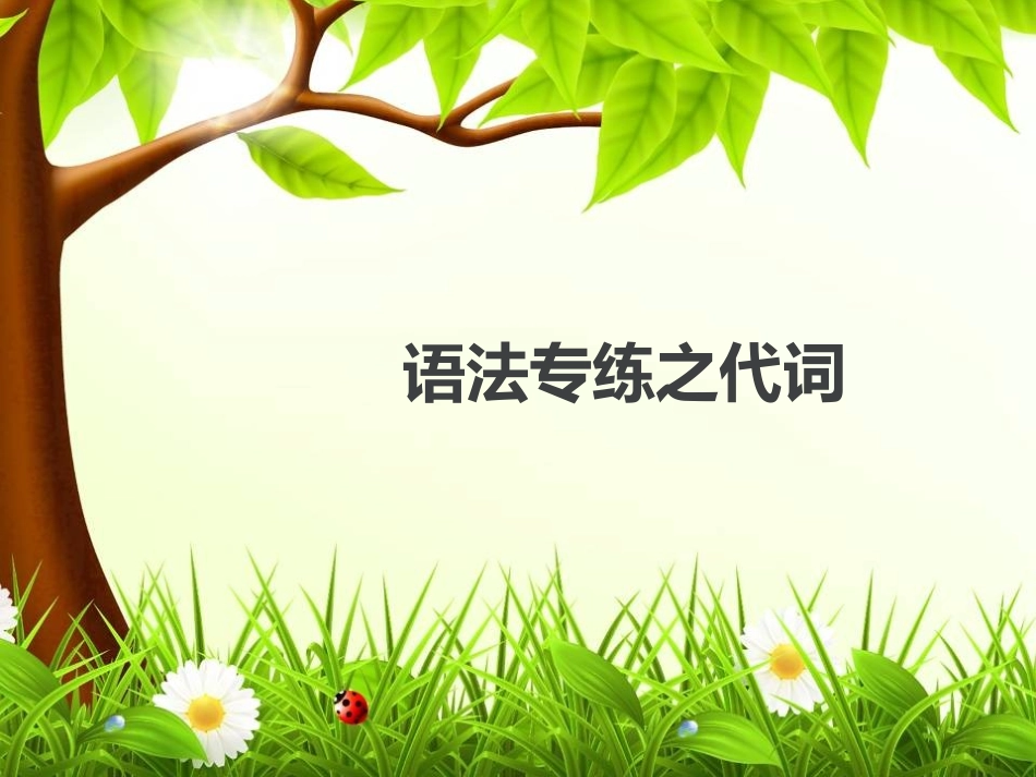 语法专练之代词_第1页