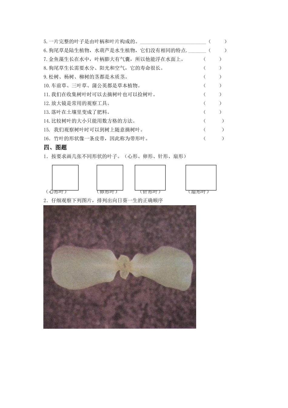 三年级科学第一单元《植物》单元检测试卷_第3页