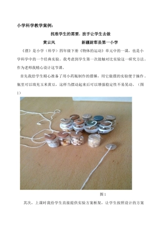 小学科学教学案例